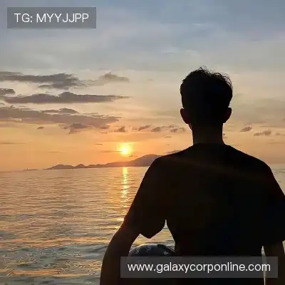 蒙芝斯